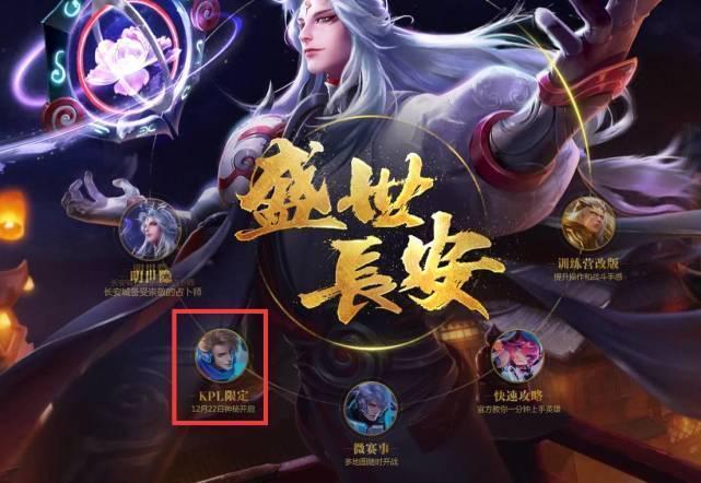 极化